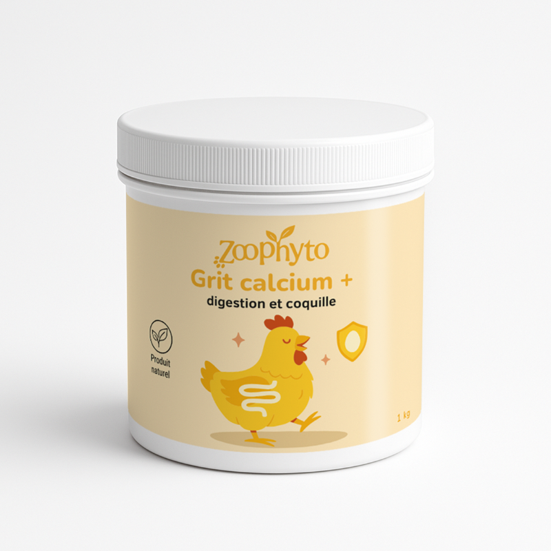 Grit calcium + poule