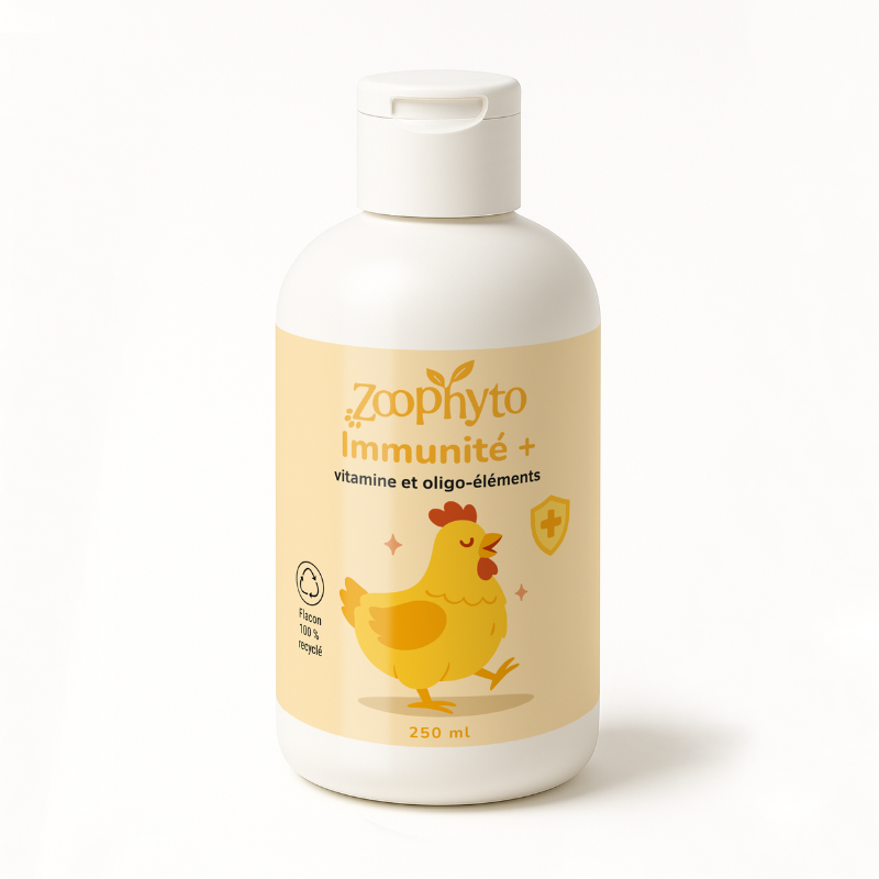 Immunité + poule