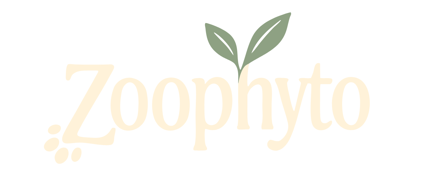 Zoophyto