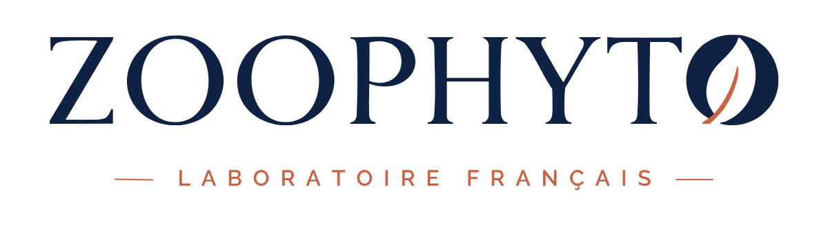 Zoophyto